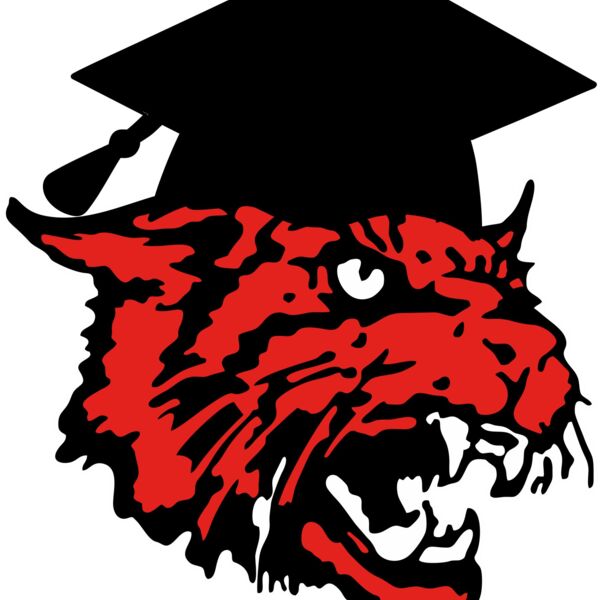 6"x7" Graduation Wildcat Car Decal Thumbnail